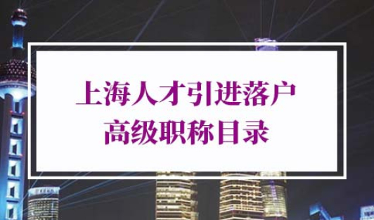 上海人才引进落户高级职称目录