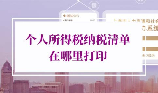 个人所得税纳税清单在哪里打印