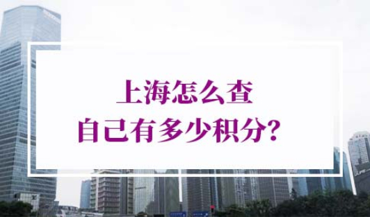 上海怎么查自己有多少积分