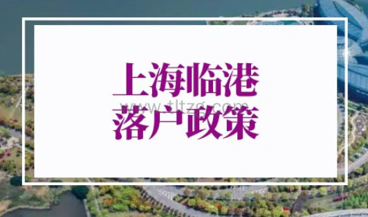 2022年上海临港落户政策