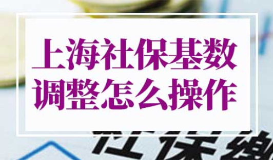 上海社保基数调整怎么操作