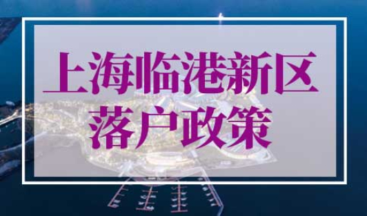上海临港新区落户政策