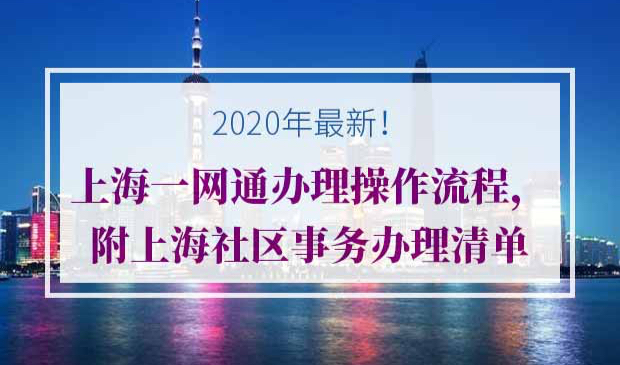 2020年上海一网通办