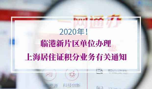 临港区上海居住证积分办理